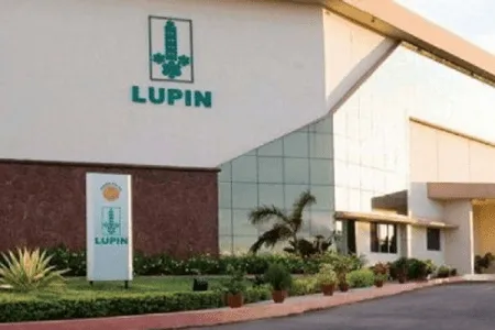 Lupin